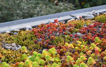 the cost of Robeston Wathen green roof installation