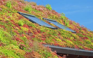 Robeston Wathen living roof systems