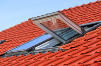 Robeston Wathen roof window